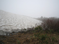 山頂直下の雪渓
