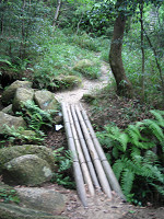 甲山森林公園への道